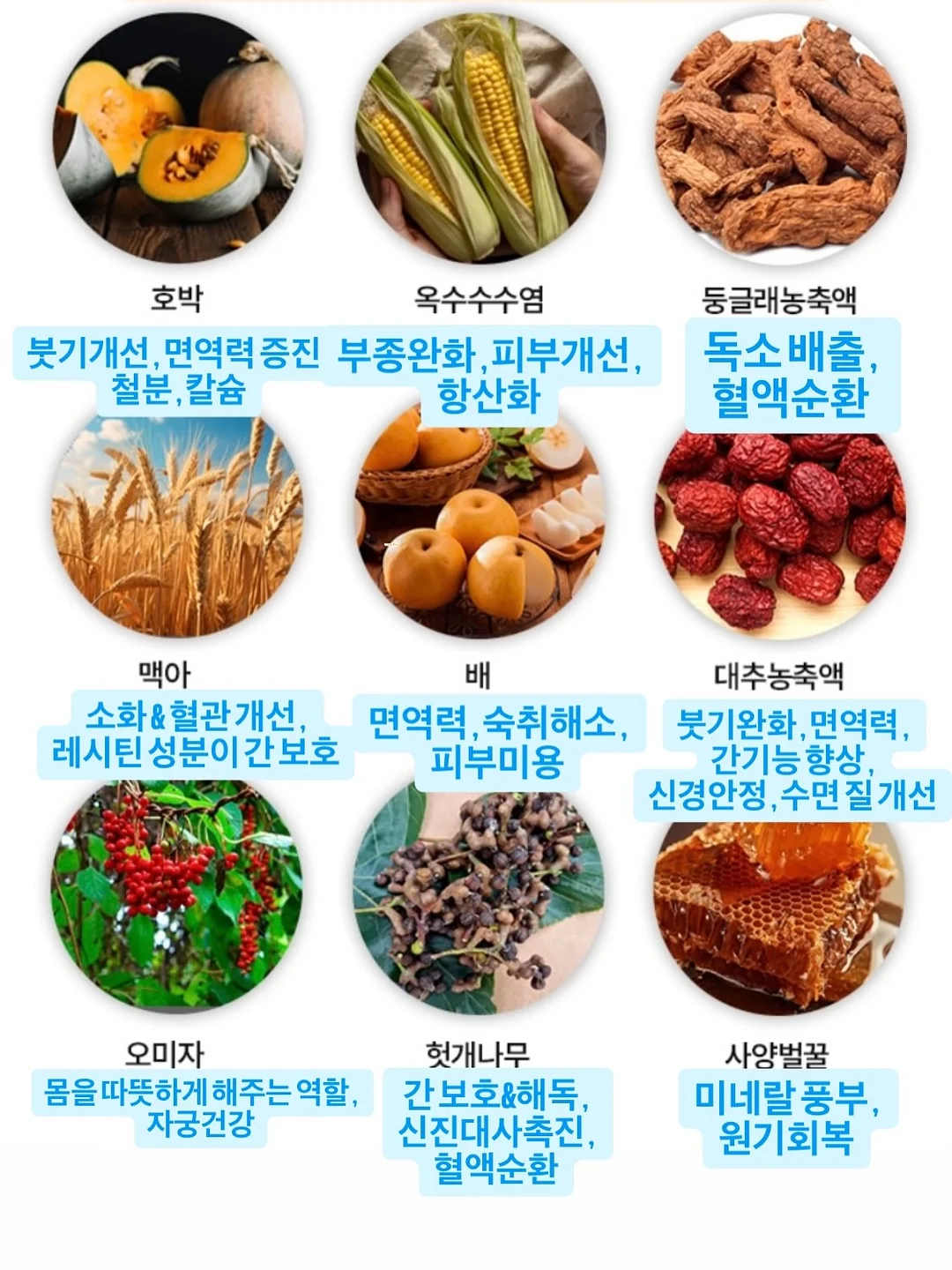화동/화견풍선 22인치 9