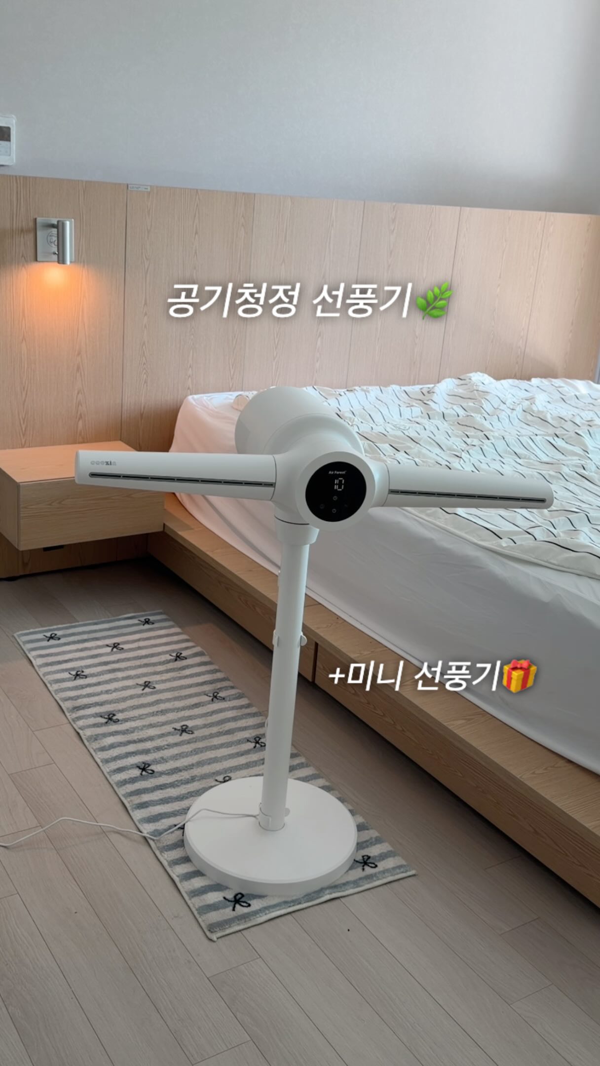 바치디다마 쿠키
