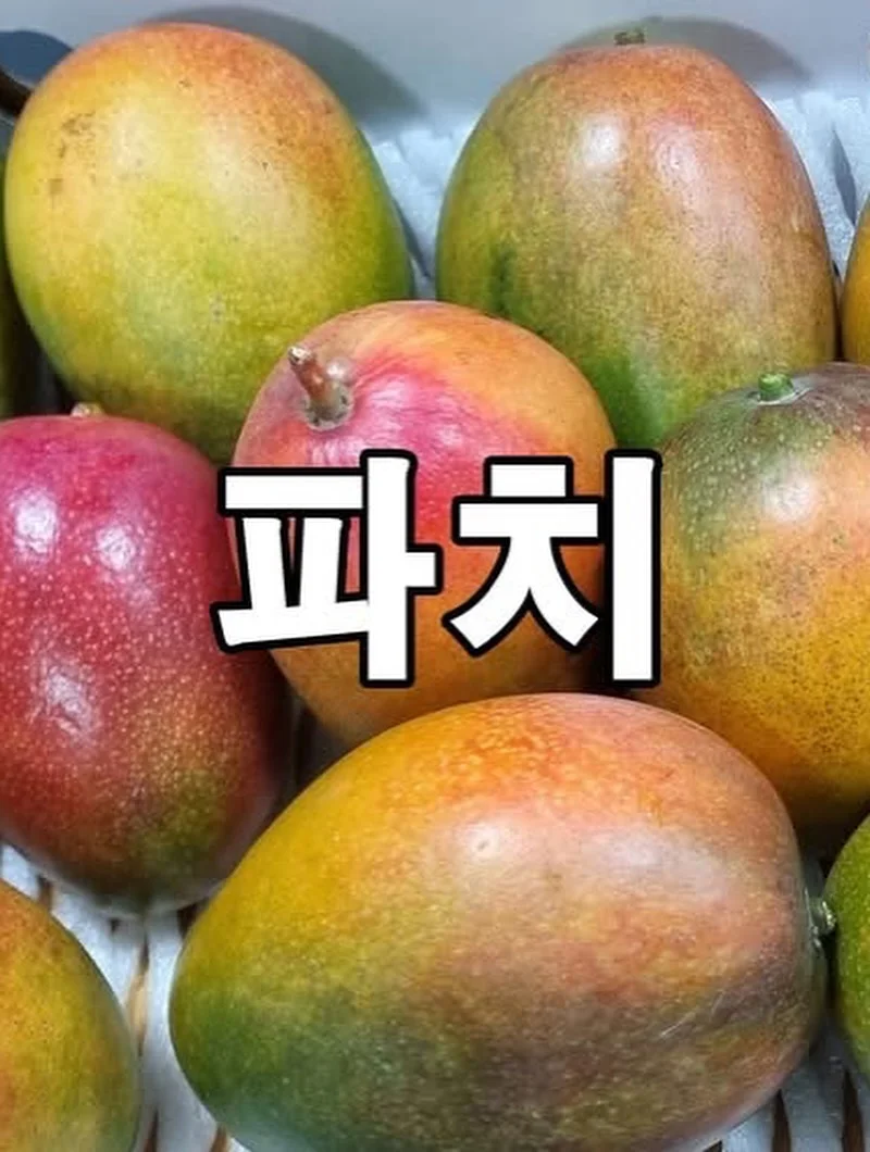 너구리 5개입 3