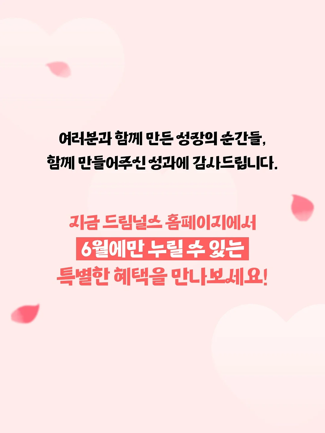 생일케이크 백드롭 키트 5