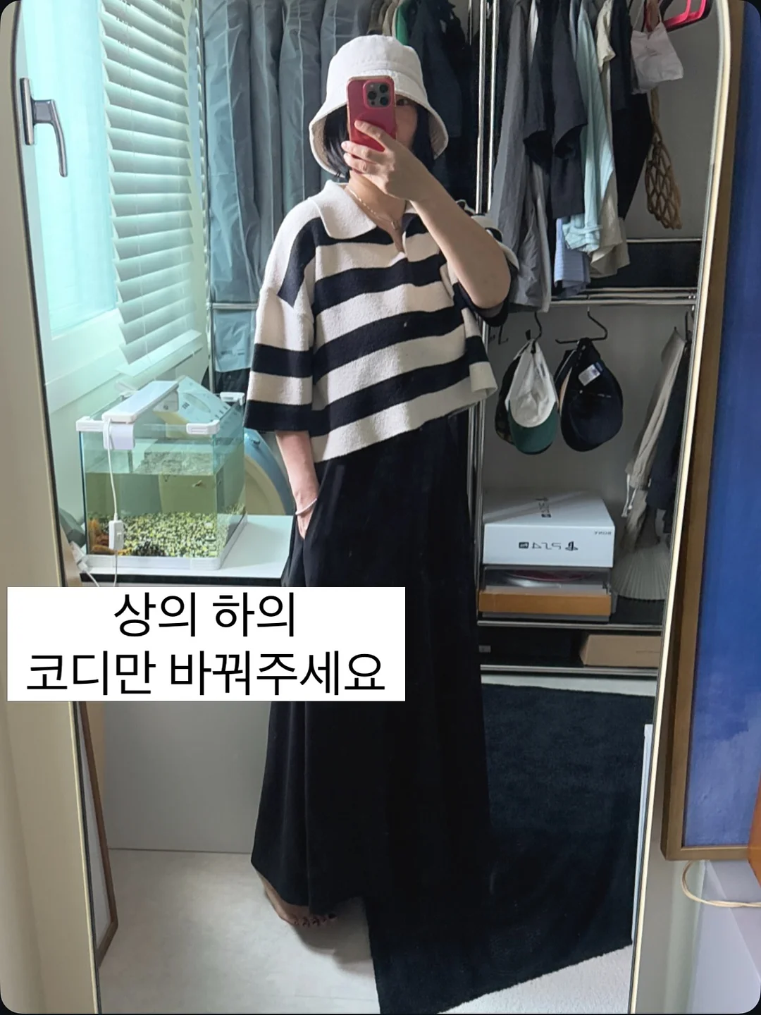 고양이 보울 2