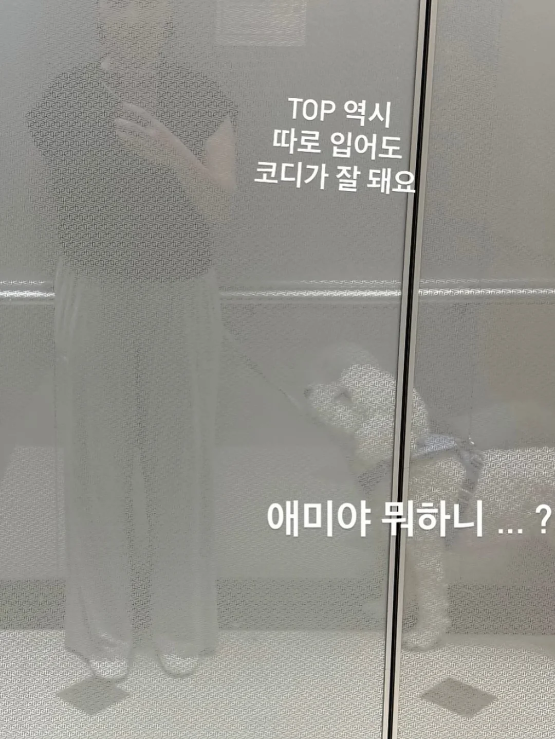 고양이 보울 8