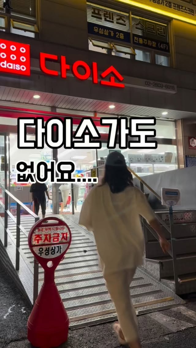 천연약재 과일
