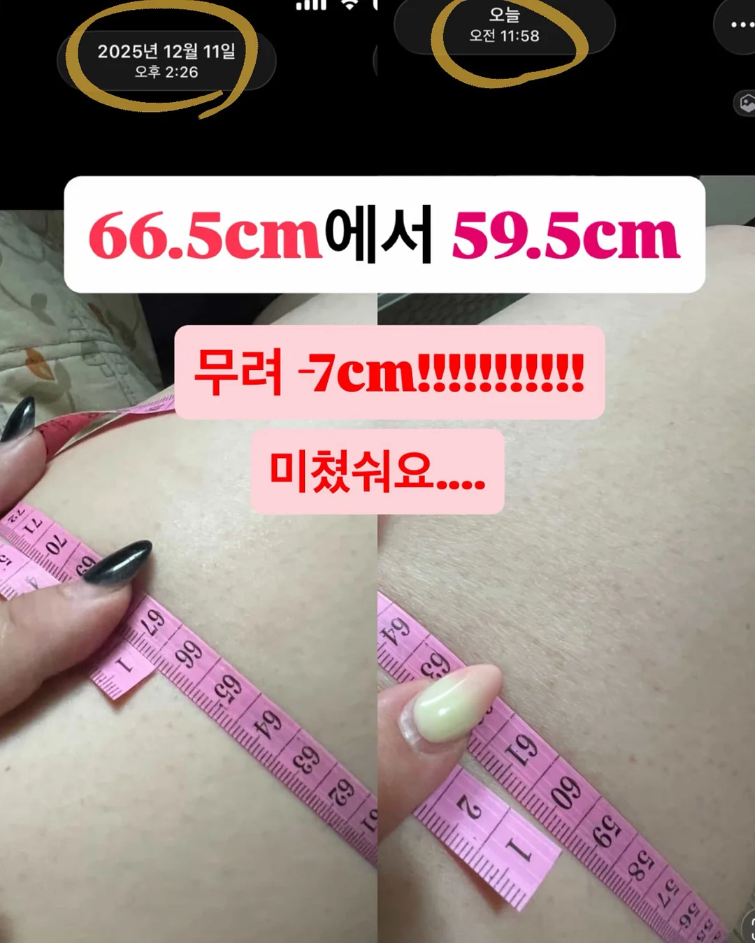 SEEC NEW 제로맥스360E 카시트 8