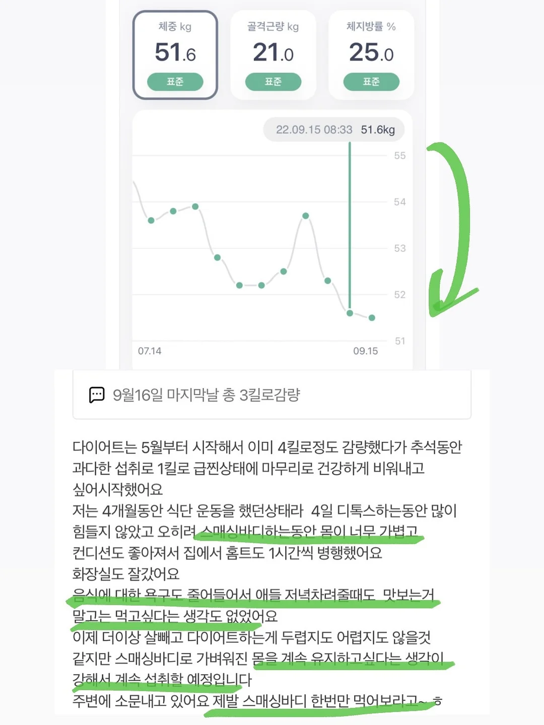 와르르딸기 홀케익 15