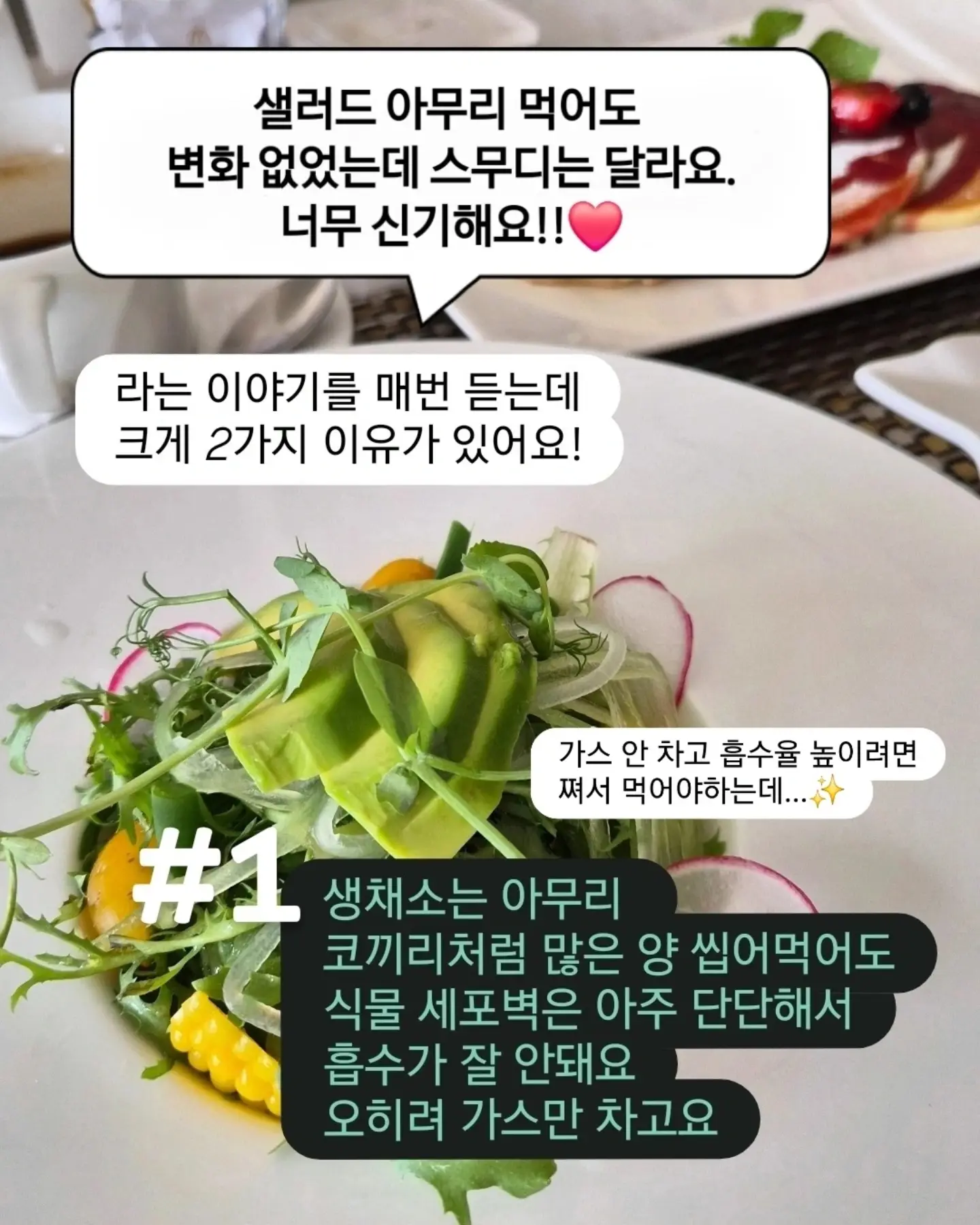 롤팬 2