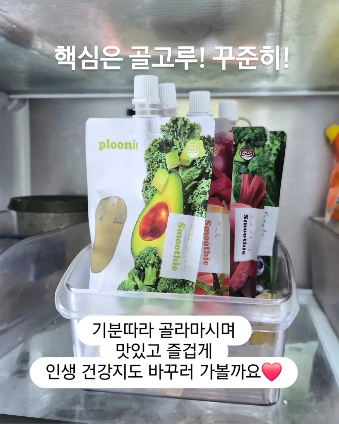 롤팬 12
