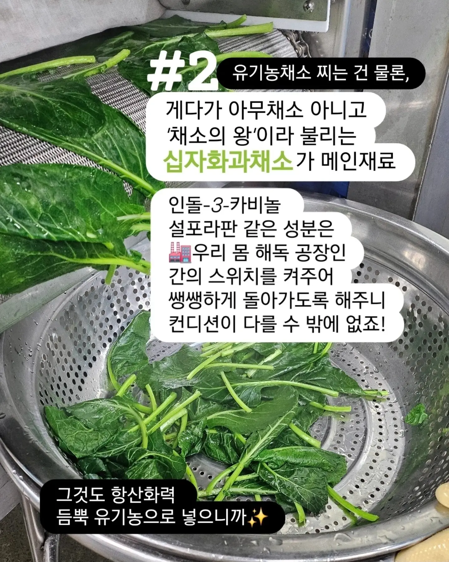 롤팬 4