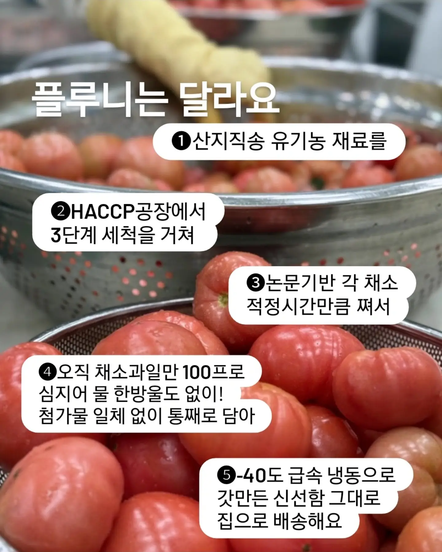 롤팬 5
