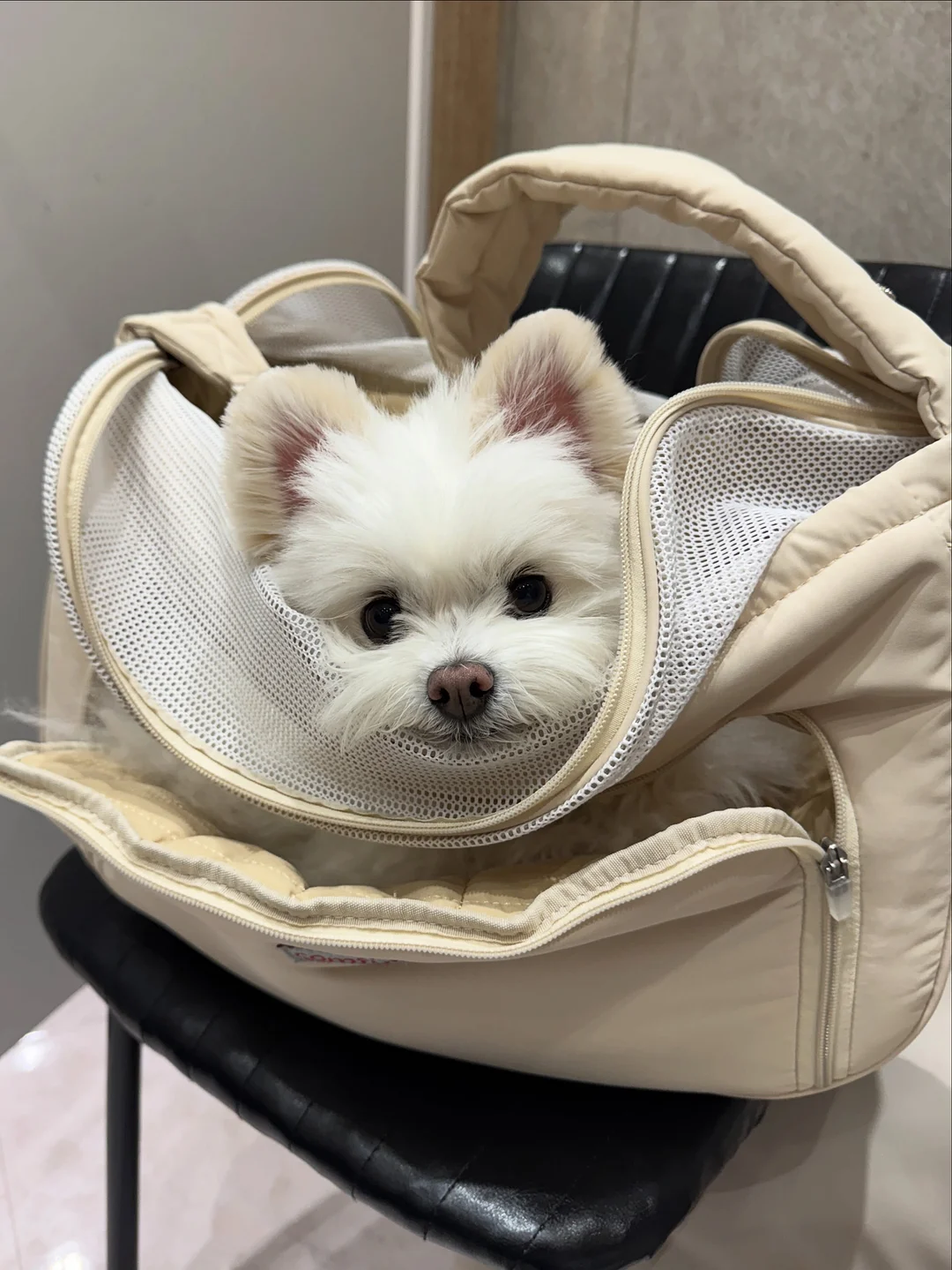 오코루 2
