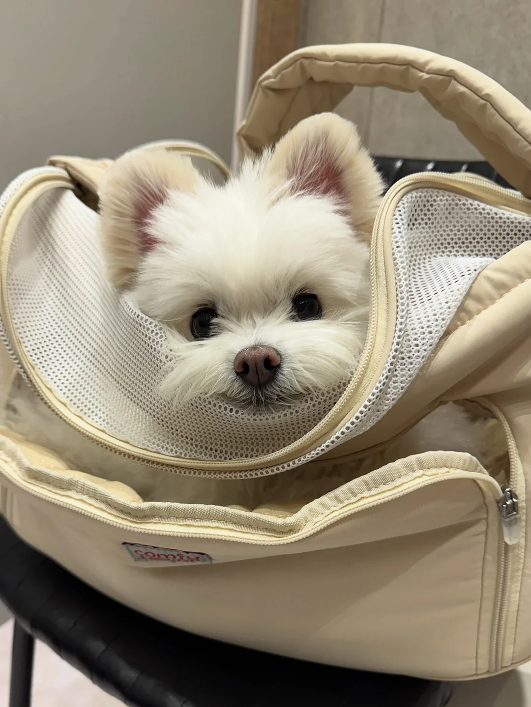 오코루 3