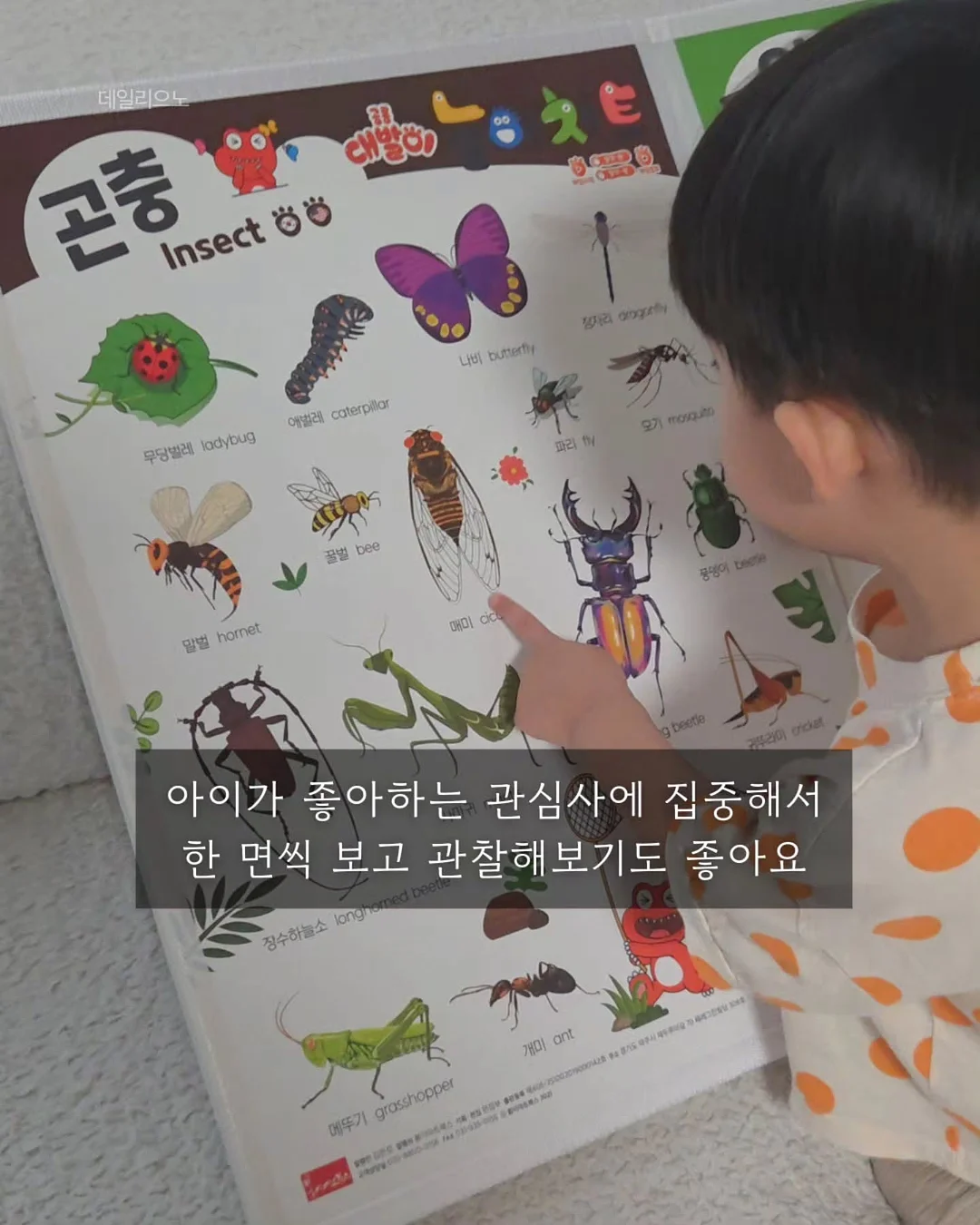 매끈밤 6