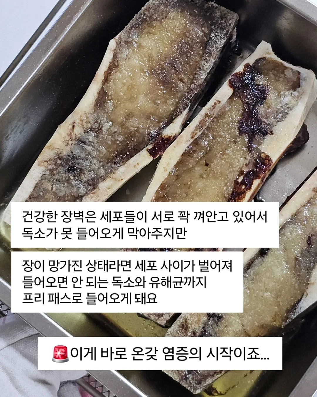 초고농축 바르는 비타민 캡슐 2