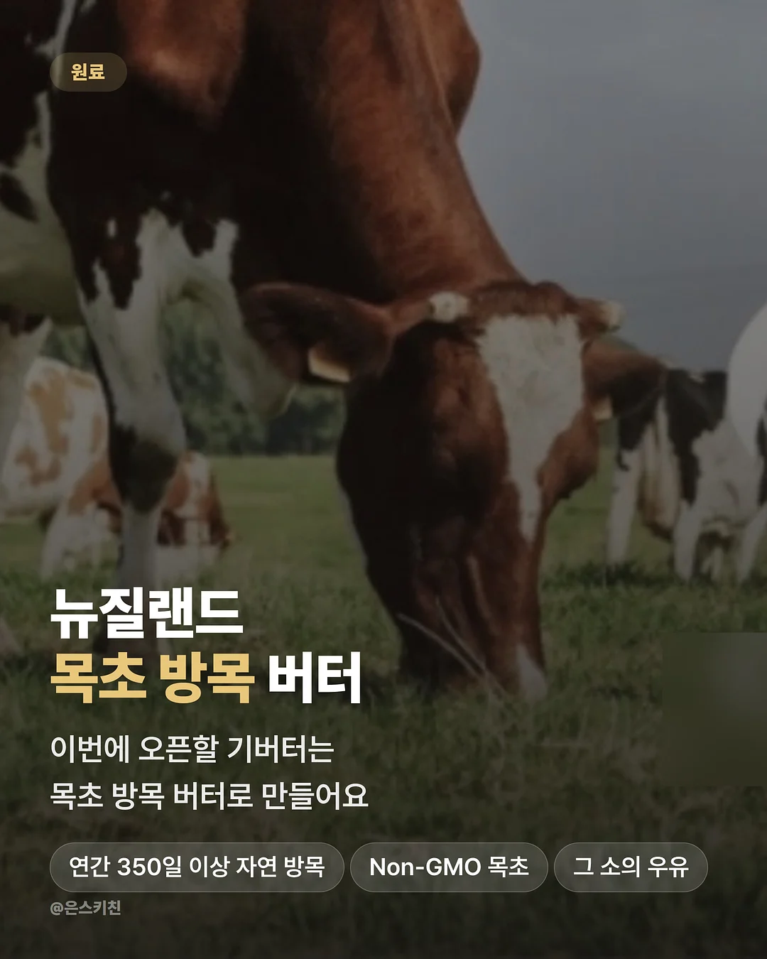 무타공 블라인드 12