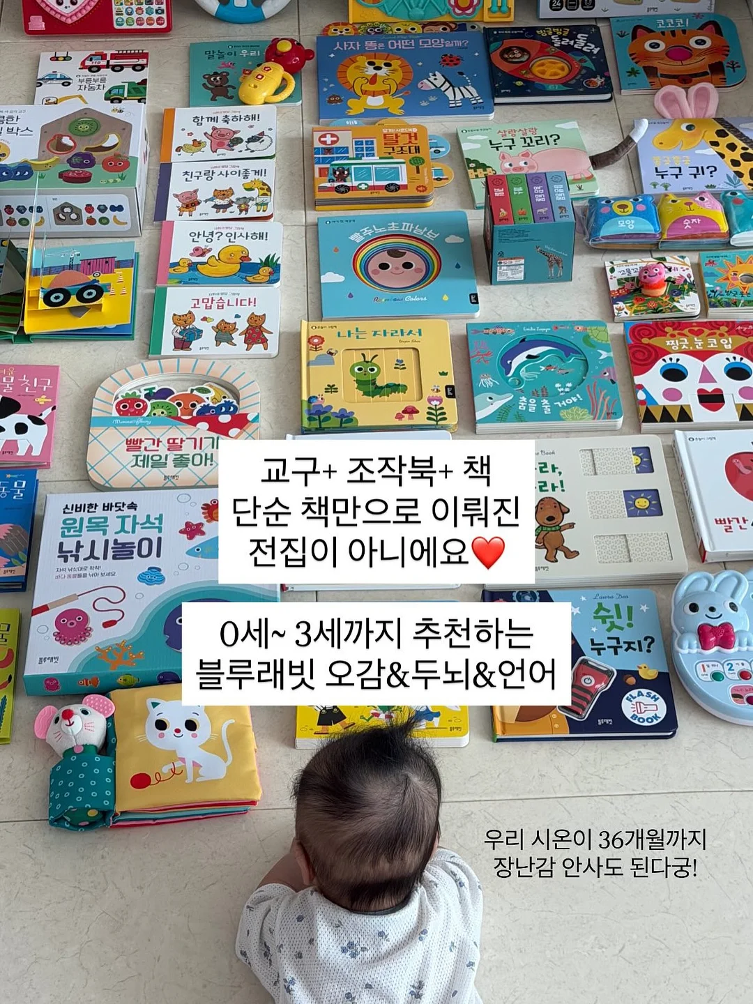 대왕실핀 14