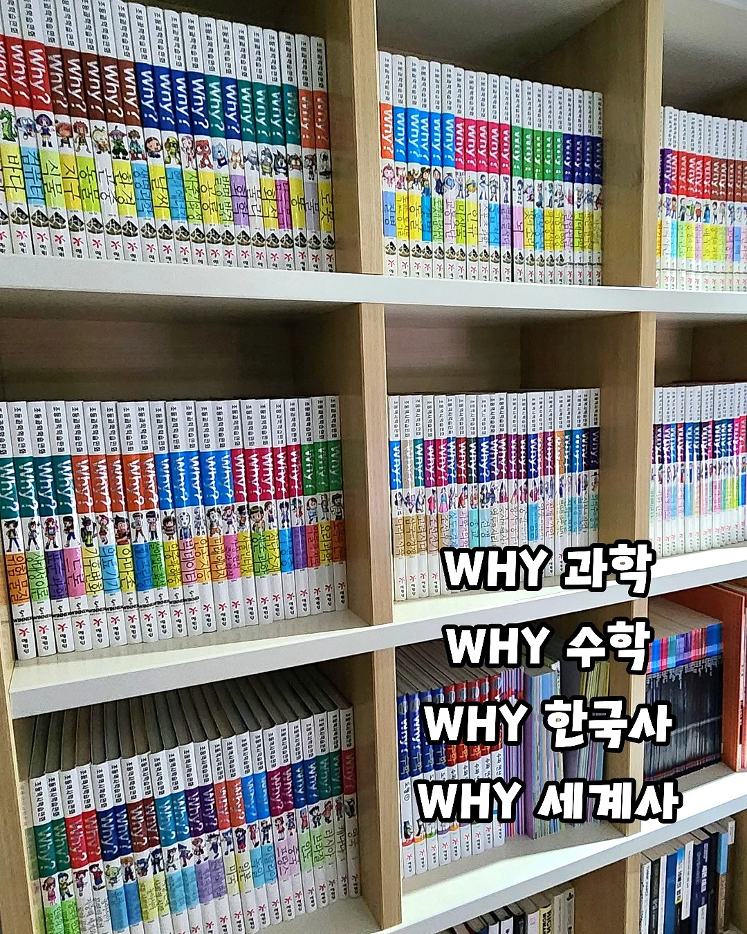 그림책심지 2