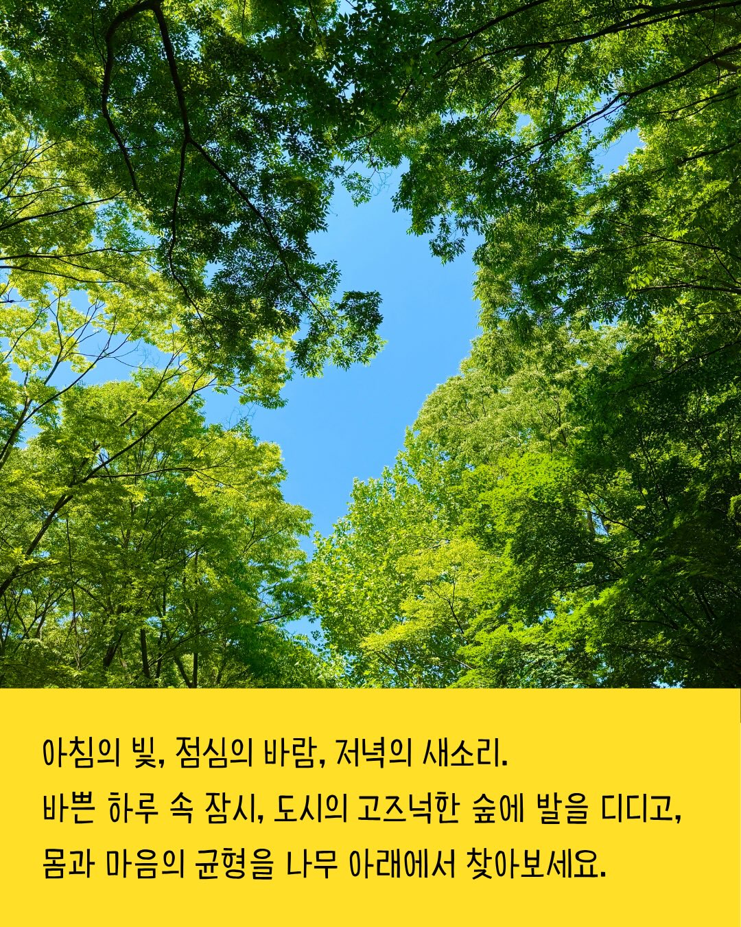 토퍼선물 2