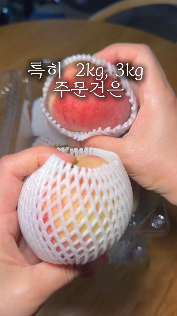 해즈픽 칫솔