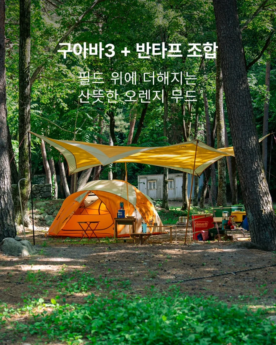 에이센트 네이처 디퓨저 2