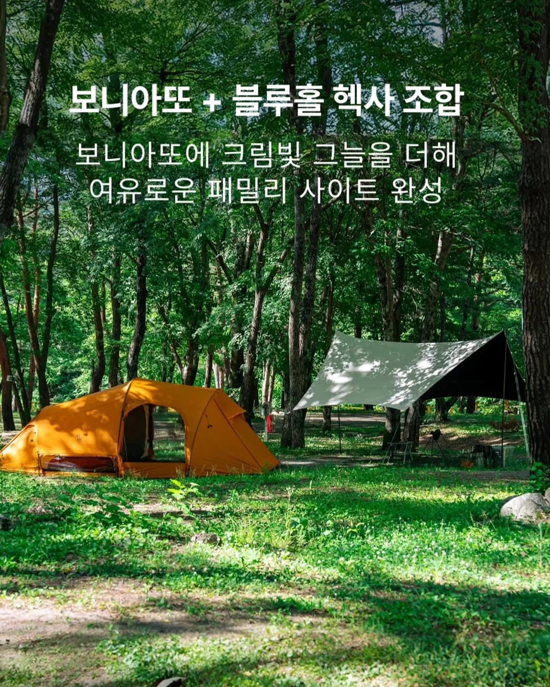 에이센트 네이처 디퓨저 3