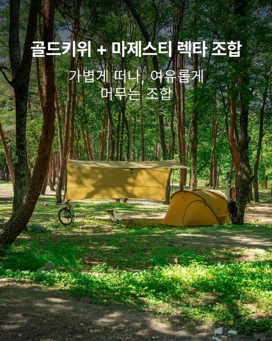 에이센트 네이처 디퓨저 4