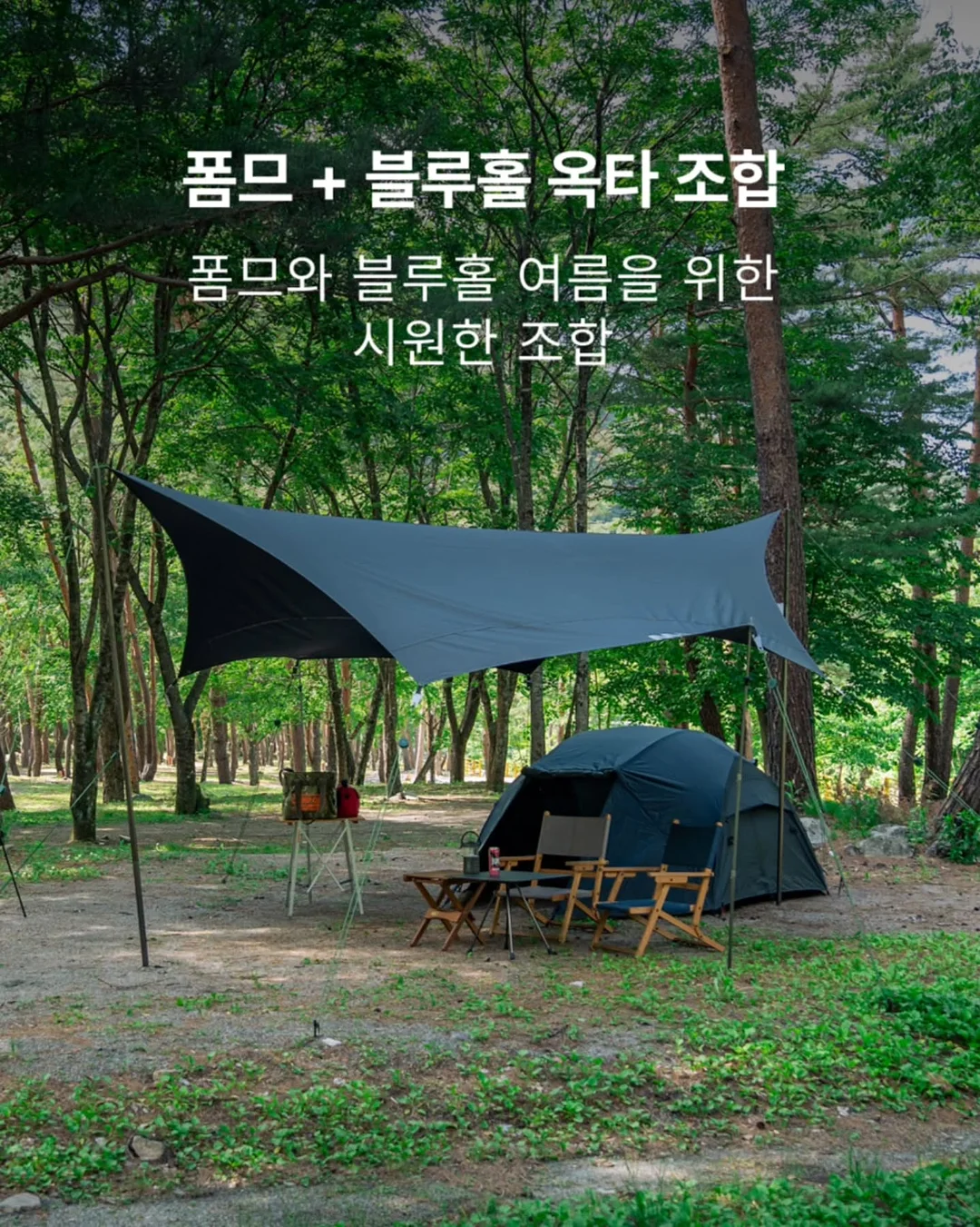에이센트 네이처 디퓨저 5