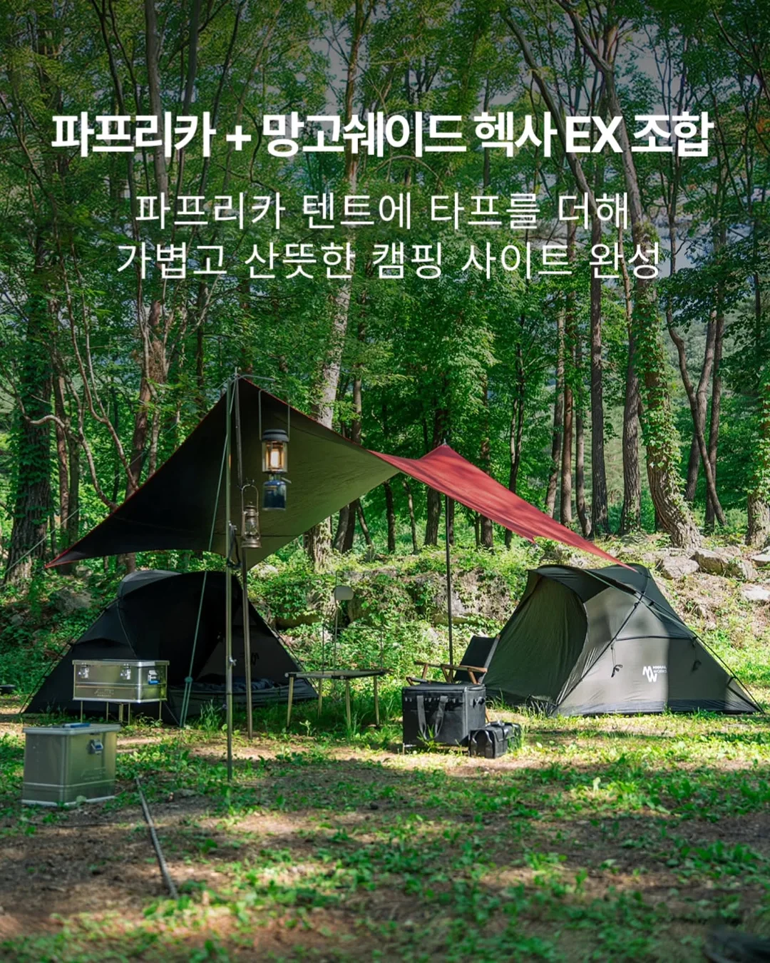 에이센트 네이처 디퓨저 6