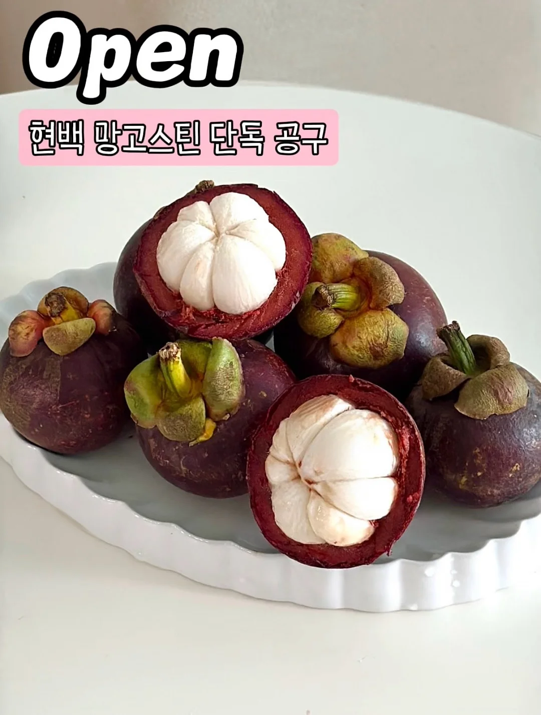 하이그로스 젤리 1