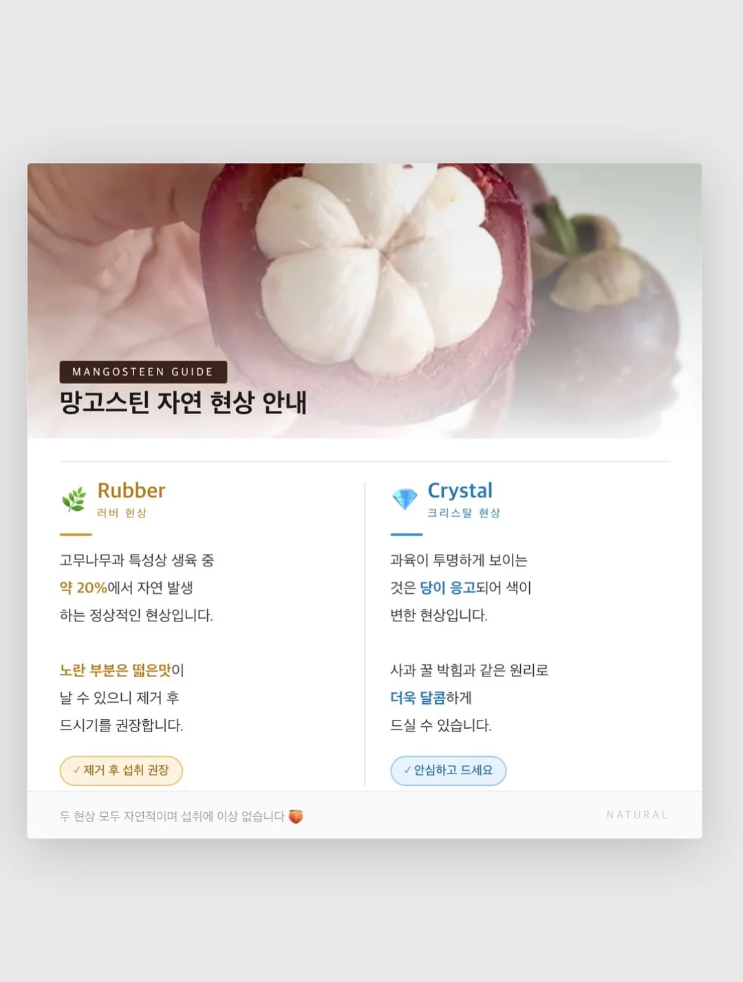 하이그로스 젤리 6