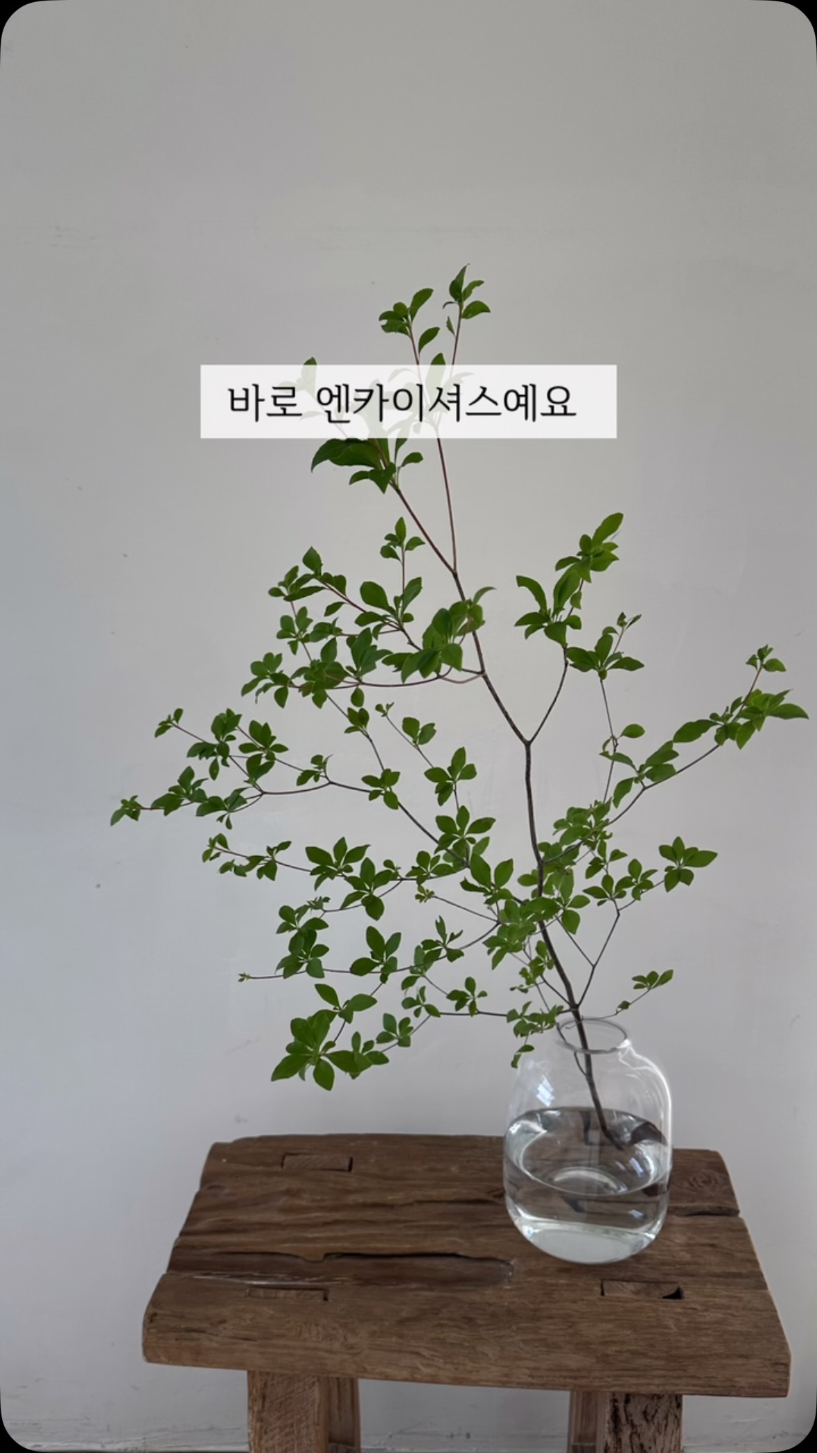 타미힐피거 남성 레가타 자켓