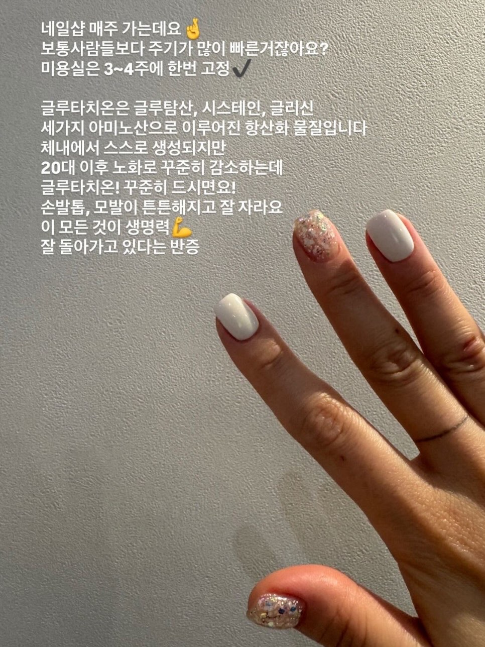 암브로지오 사넬리 테이블 나이프 17