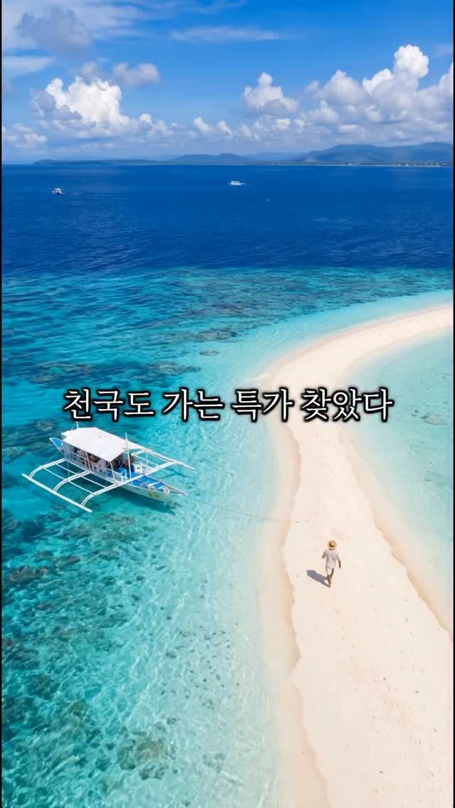 여름 셔츠