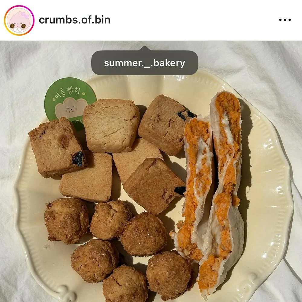 재생 비비 2