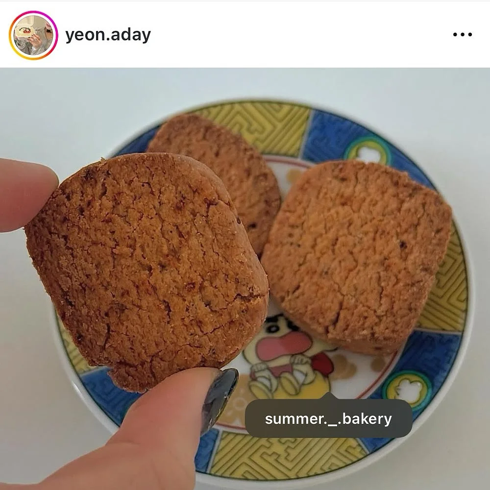 재생 비비 5