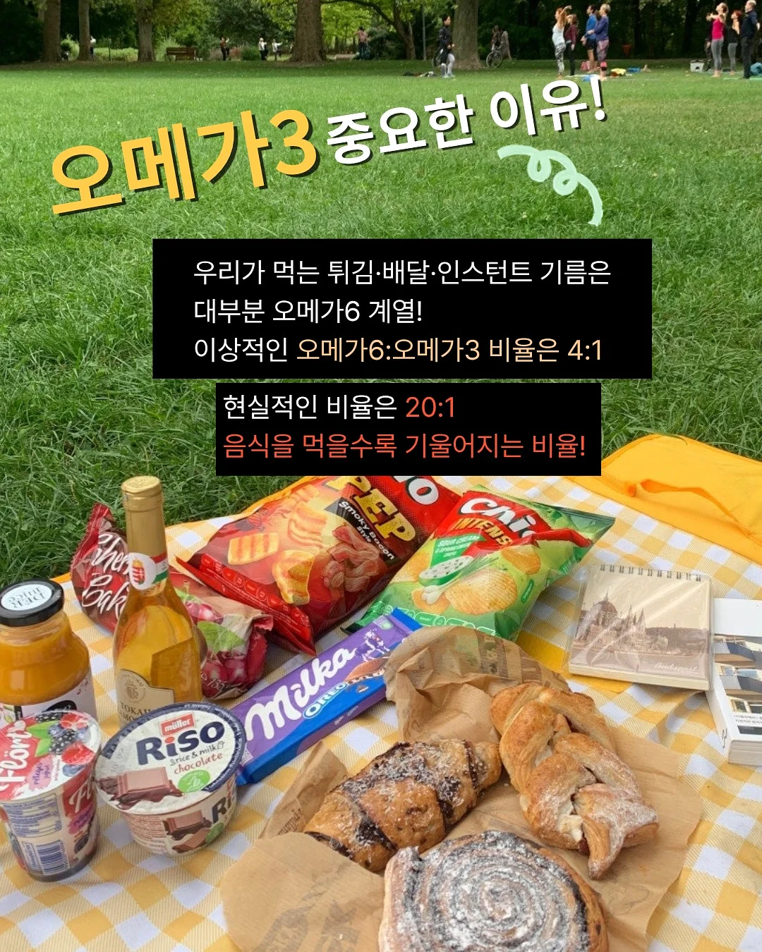 원물 칩 3