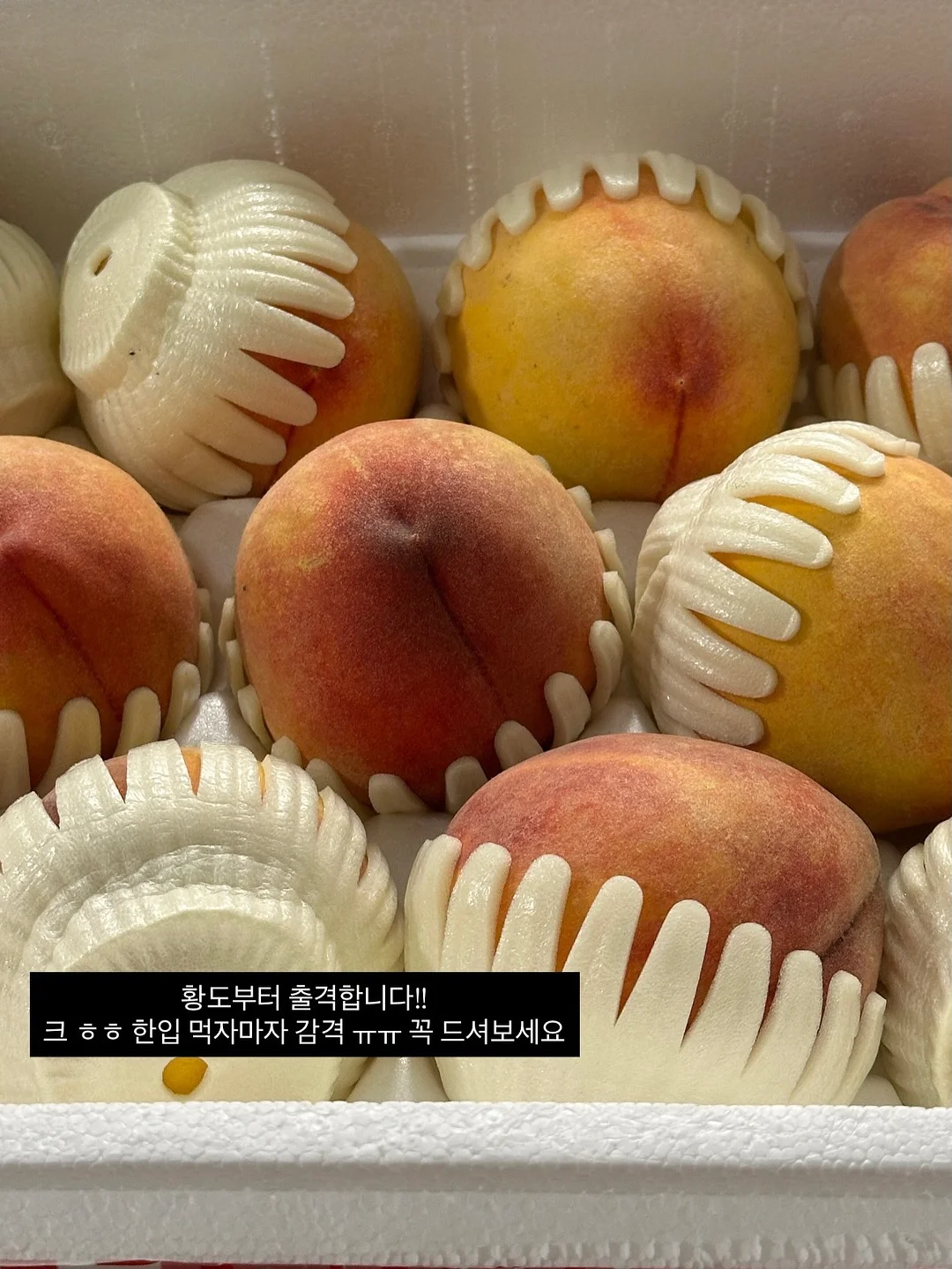 라일락 꽃다발 5
