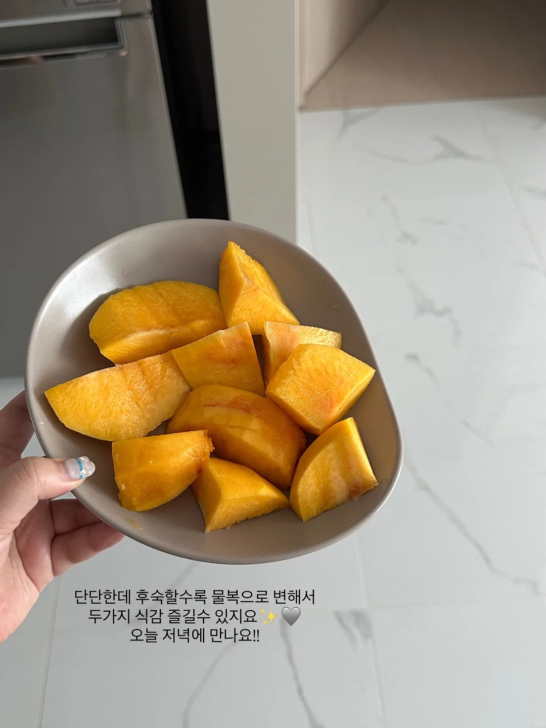 라일락 꽃다발 6