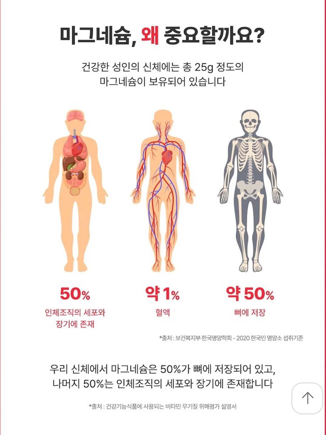 시즌오프 세일 상품 13