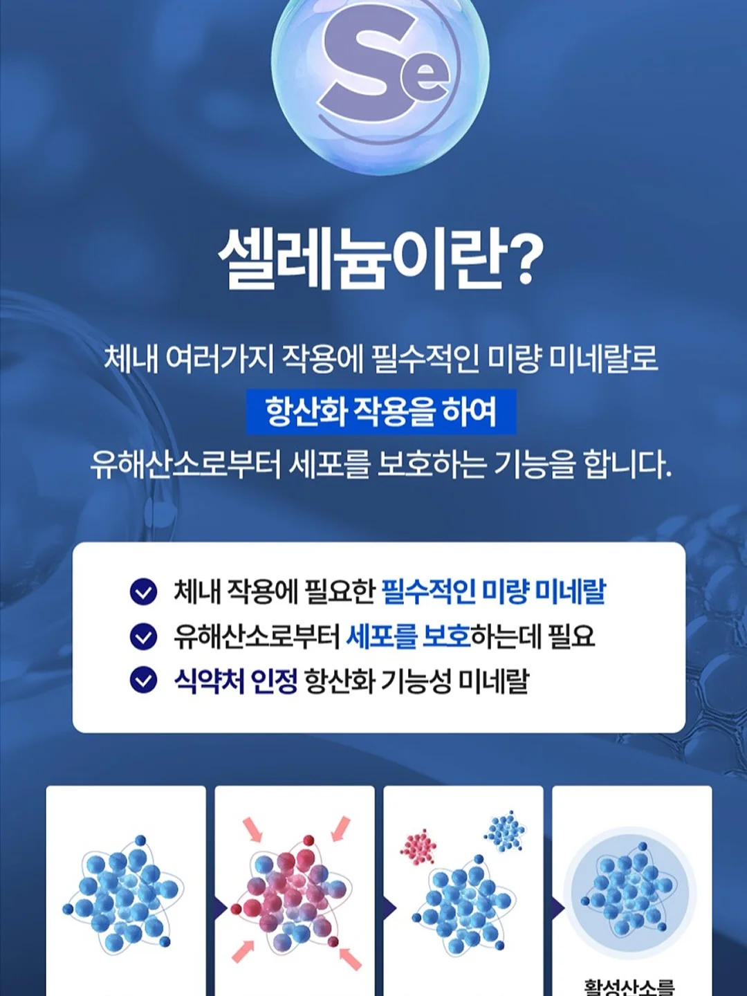 시즌오프 세일 상품 17
