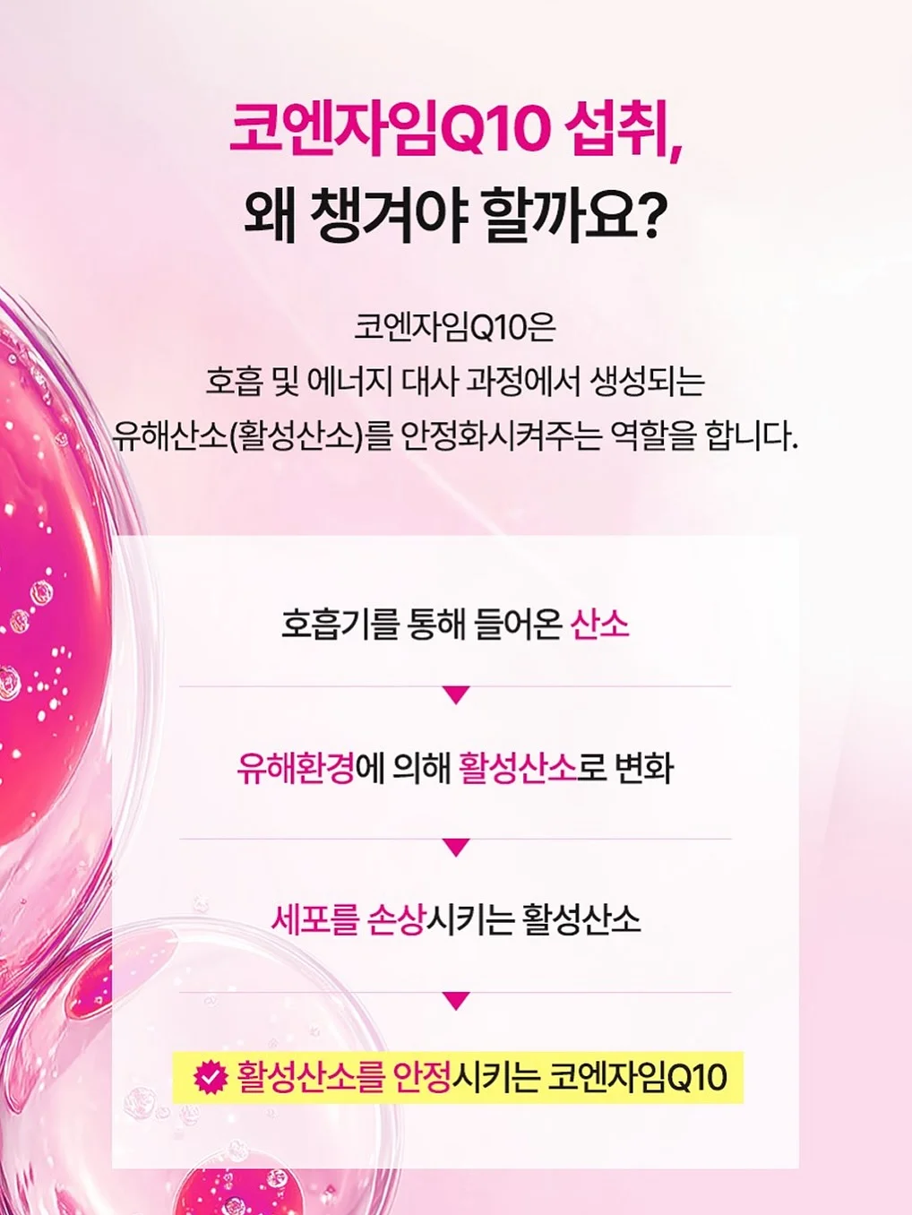 시즌오프 세일 상품 2