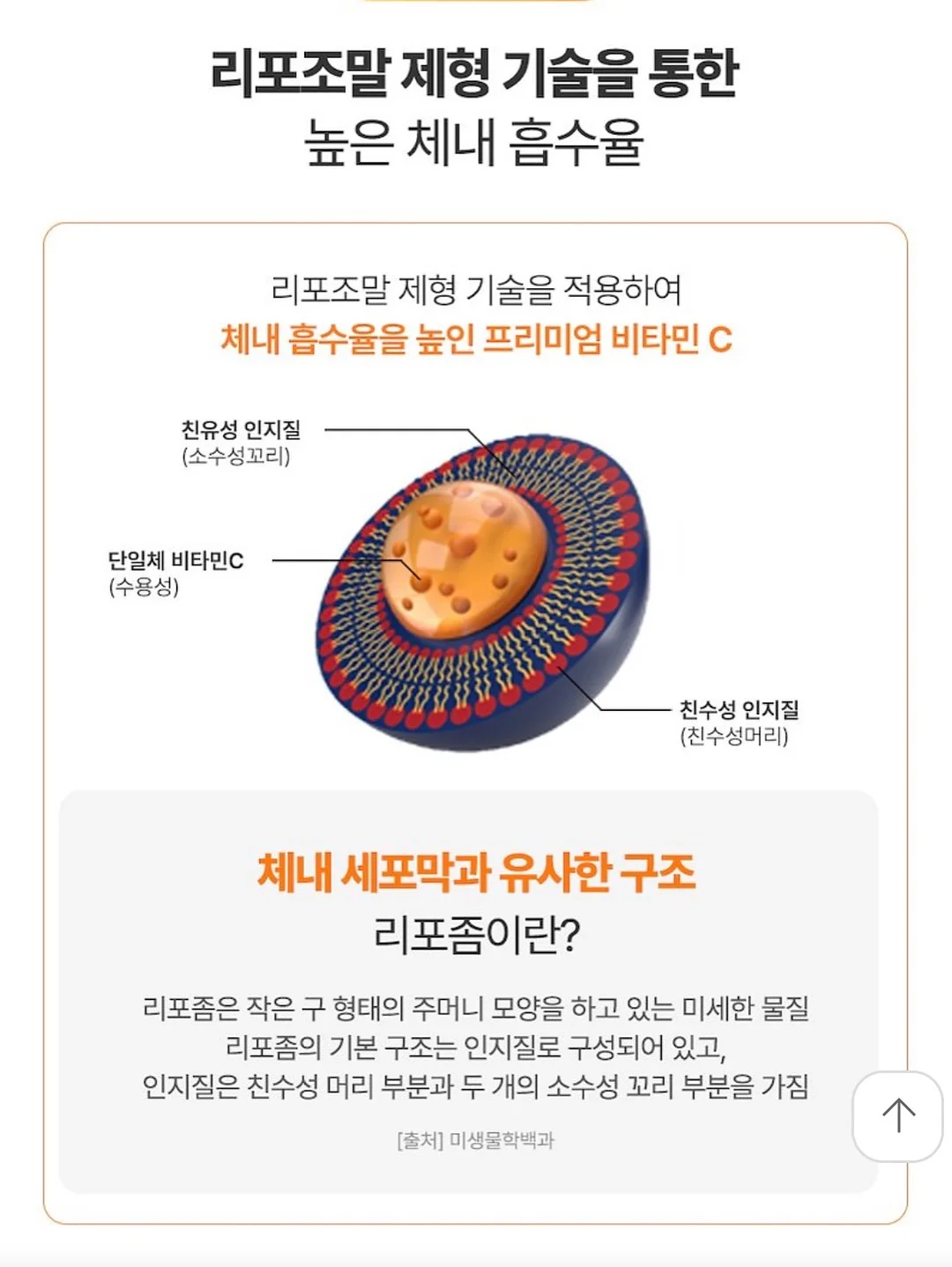 시즌오프 세일 상품 9