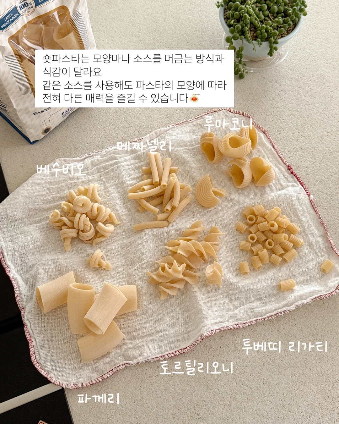 핸드폰 케이스 미니 토트백 3