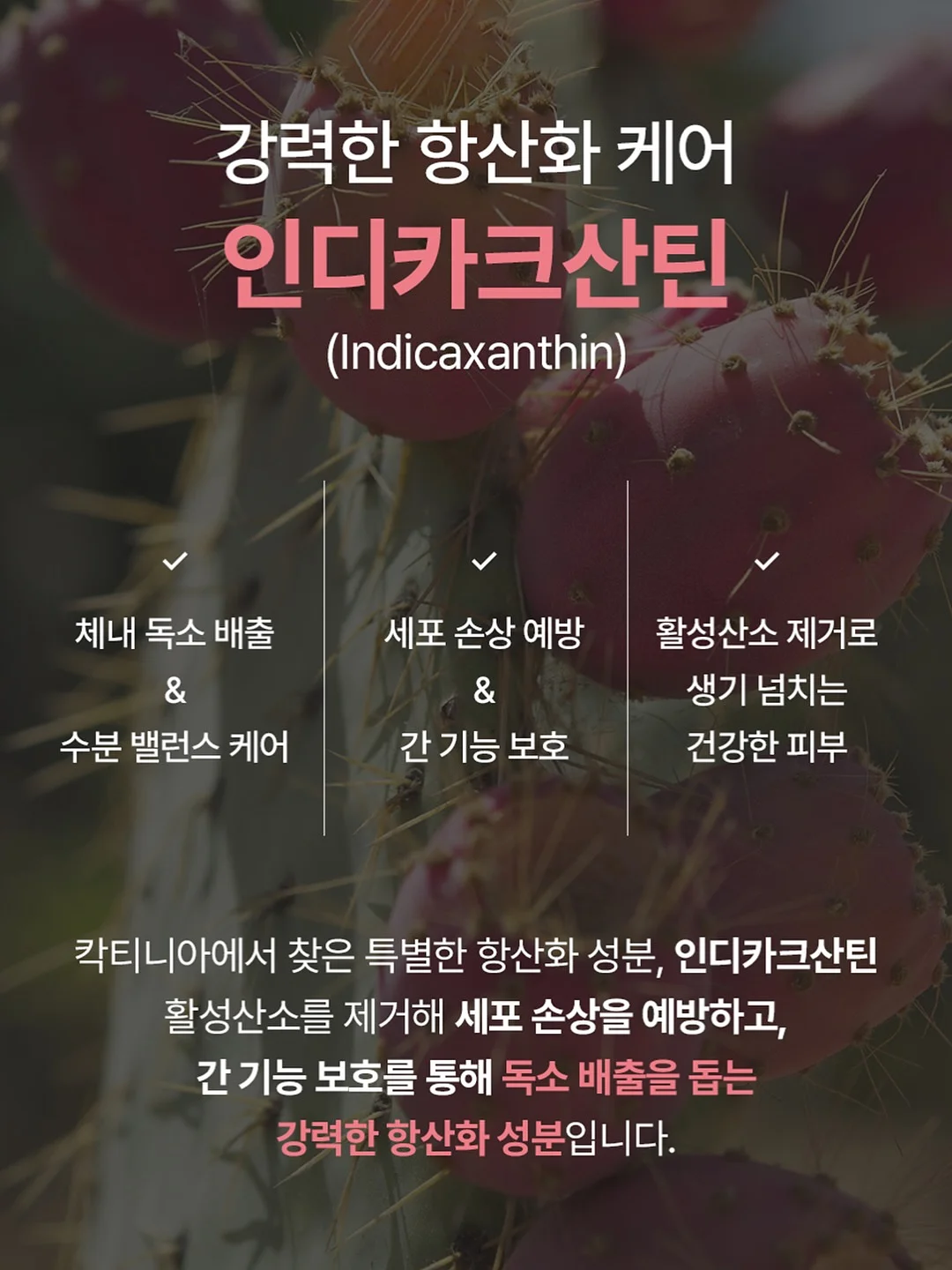 골수박 7키로 9