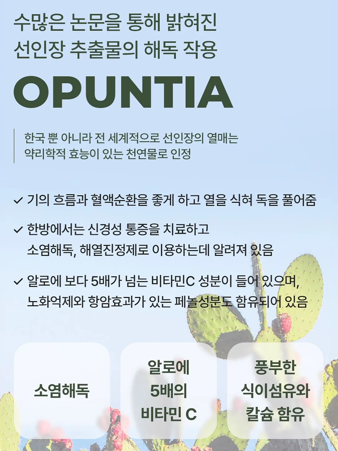 골수박 7키로 10