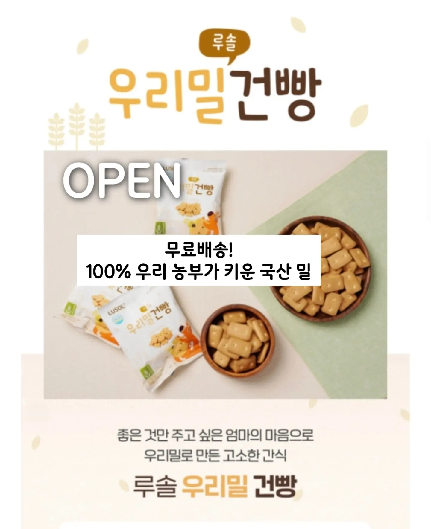 데이지라피아햇 1