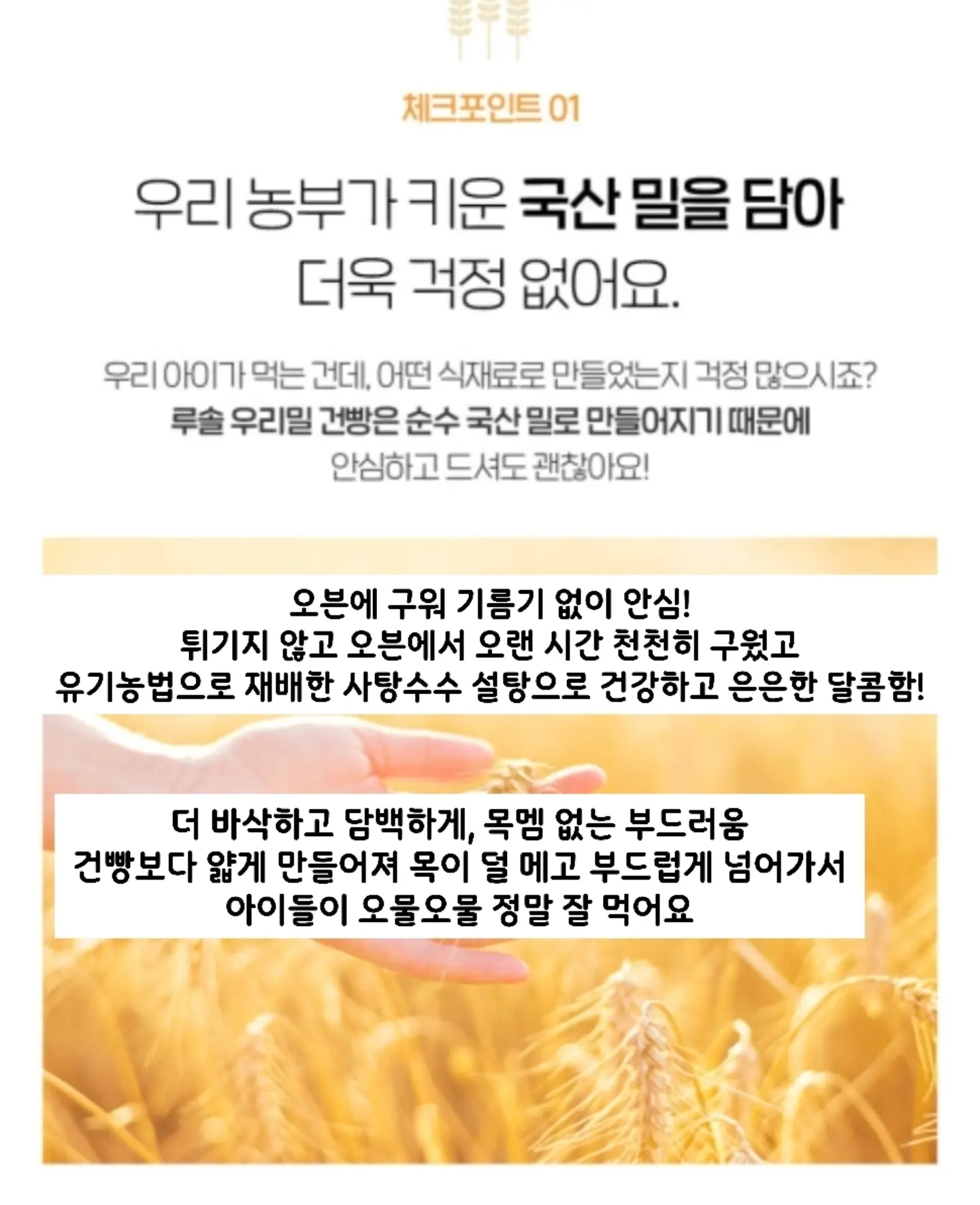 데이지라피아햇 2