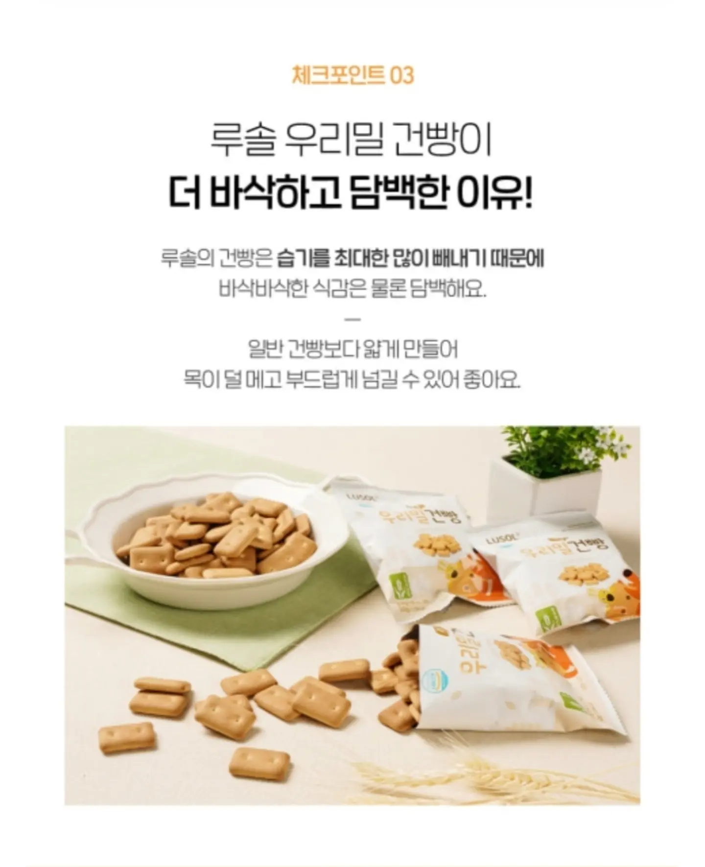 데이지라피아햇 4