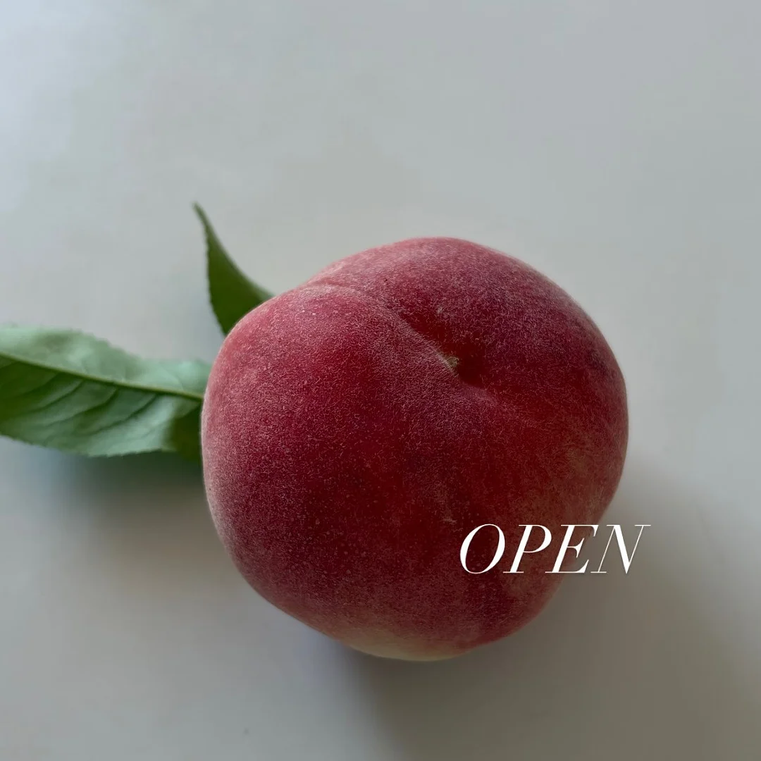 구이김 보관용기
