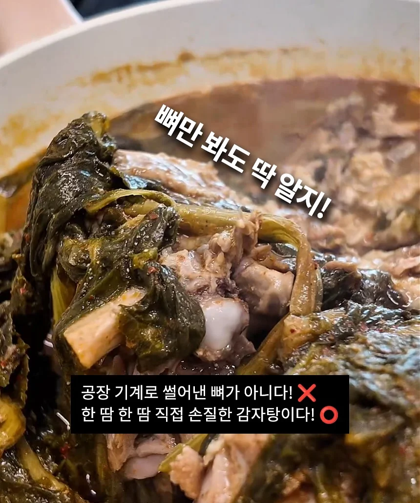 콤보눈썹 8