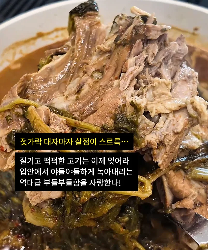 콤보눈썹 9